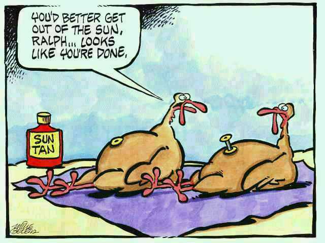 funny thanksgiving cartoons. Happy Thanksgiving, what I am